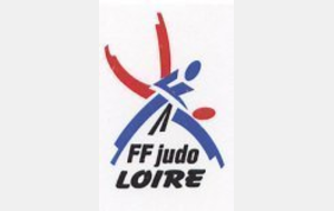 Stage de rentrée comité de la Loire Judo