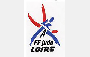 Championnat de la Loire Minimes